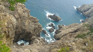 IMG00598.jpg